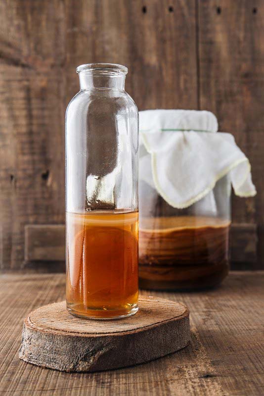 Was ist der Kombucha Teepilz?