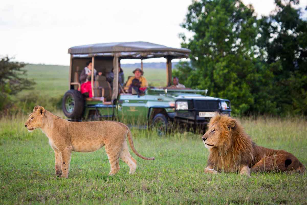 Safaris in Kenya