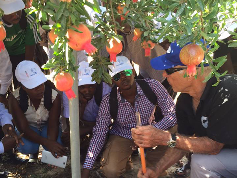 Kenyan farmers learning about irrigation methods for pomegranate groves. Photo courtesy of MASHAV