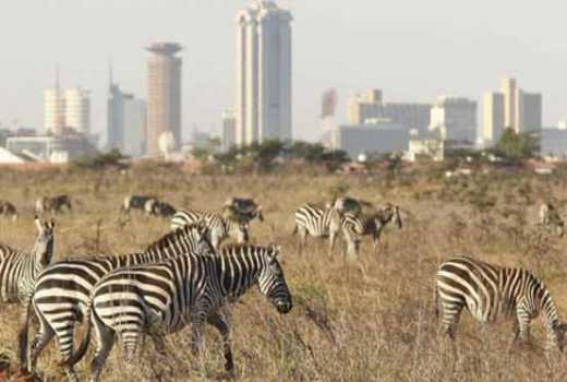 www.standardmedia.co.ke