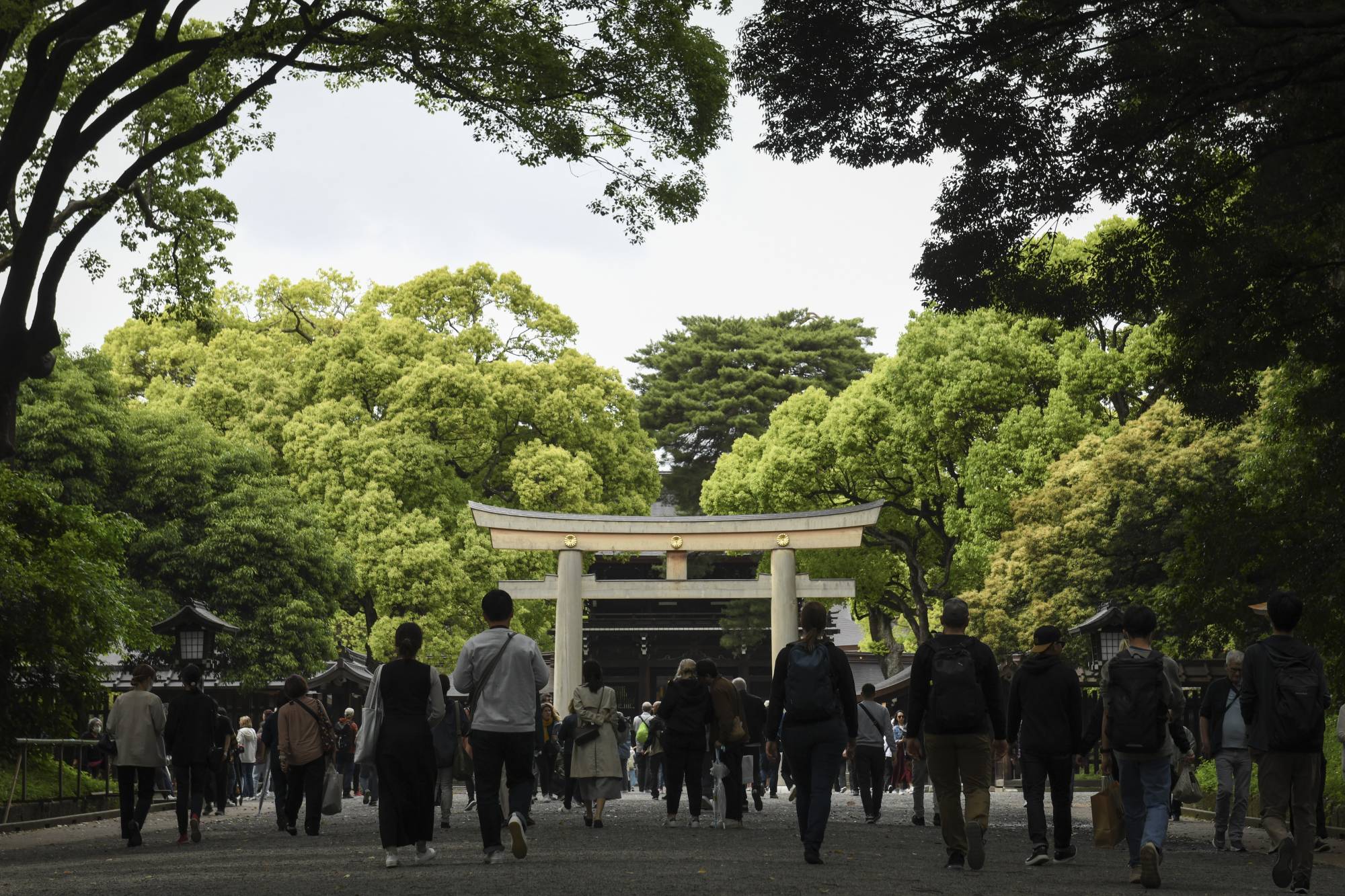 Meiji Jingu, a Shinto shrine in Tokyo. Though polls show overwhelming support for it, Japan is the only G7 nation that has not legalized same-sex unions. | NORIKO HAYASHI / THE NEW YORK TIMES