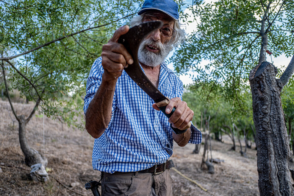 Giulio checks the sharpness of his most important tool, a billhook, after curing it with oil.