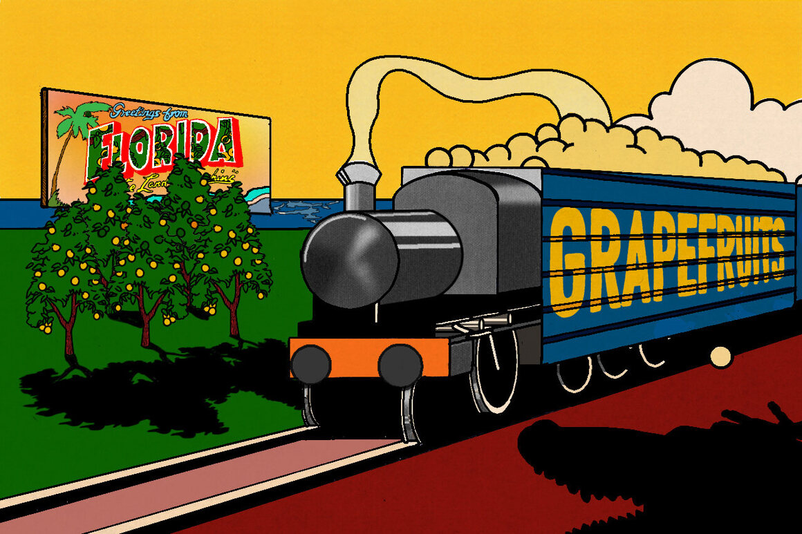 Citrus, and grapefruit in particular, play an outsize role in the development of Florida. 
