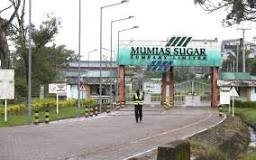 How Mumias Sugar Company died and the sour politics behind ...