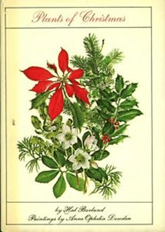 Cover of the book Plants of Christmas with the drawing of a pointsettia
