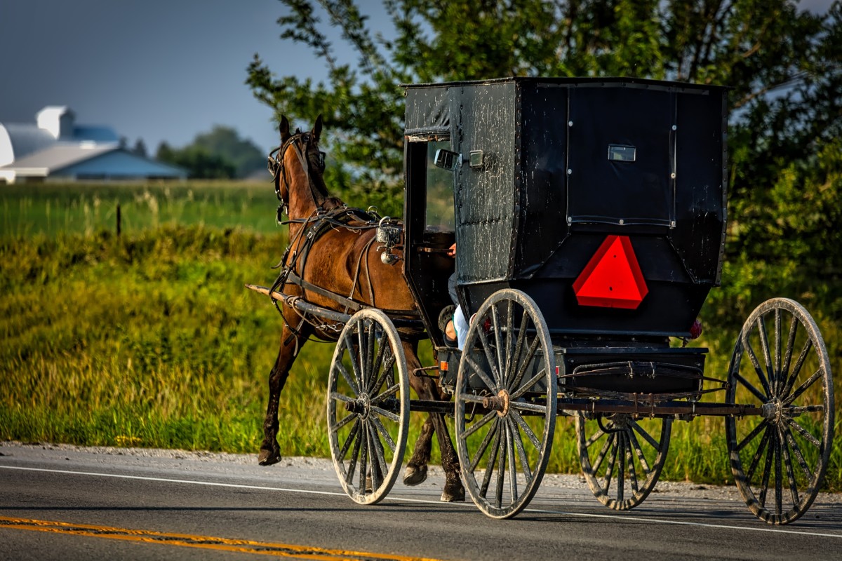 The Amish came to the U.S. to practice their religion and way of life without persecution.